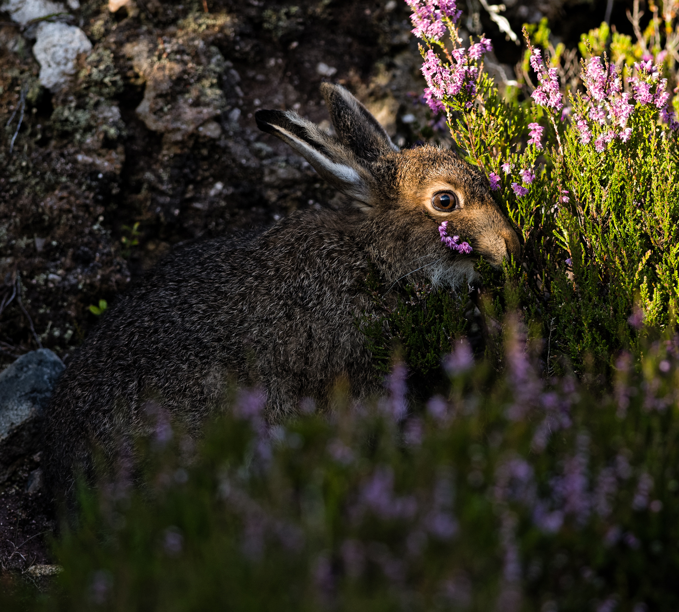 Gathering Flowers