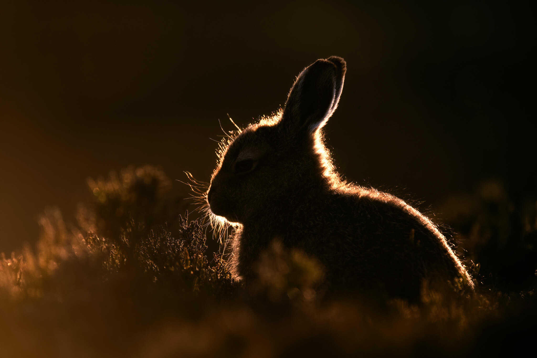 Soaking up the rays